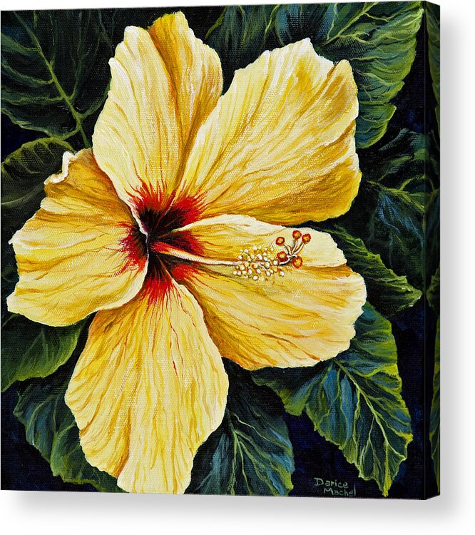 Flower Acrylic Print featuring the painting Yellow Hibiscus by Darice Machel McGuire