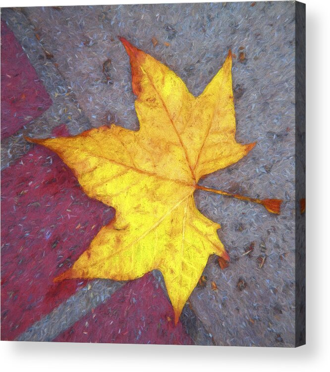 Leaf Acrylic Print featuring the photograph Yellow Leaf Autumn by Carol Leigh