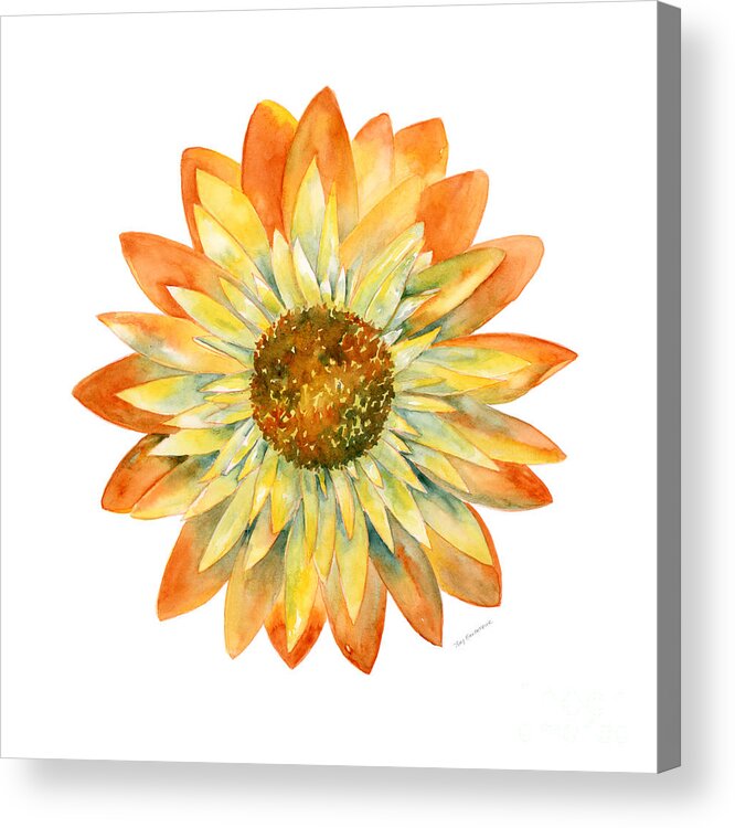 Yellow Acrylic Print featuring the painting Yellow Orange Daisy by Amy Kirkpatrick