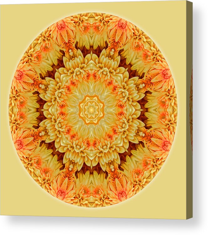 Mum Acrylic Print featuring the photograph Yellow Orange Mum Mandala by Beth Sawickie