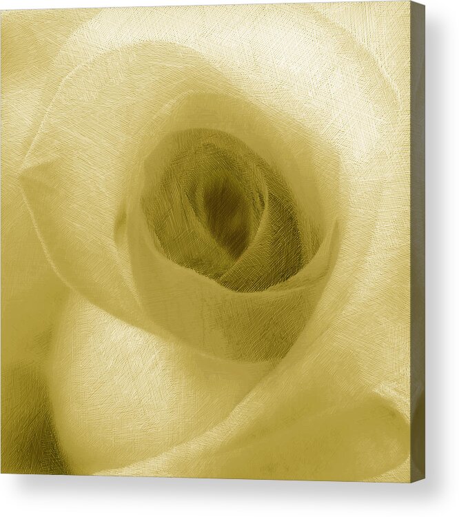 Rose Acrylic Print featuring the painting Yellow Rose by Tony Rubino