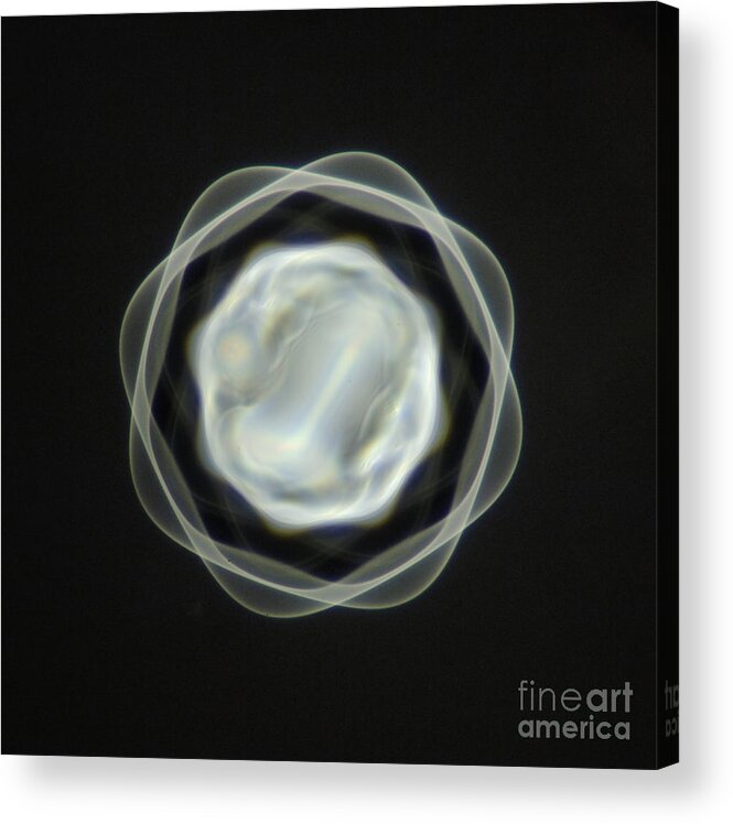 Harmonic Acrylic Print featuring the photograph 1 Mm Vibrating Bubble by Raul Gonzalez Perez