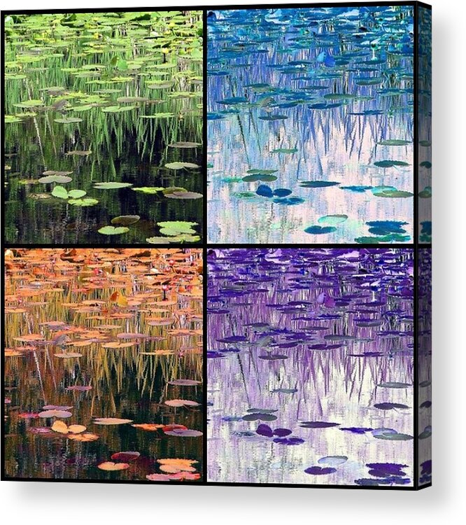 Ode To Monet Acrylic Print featuring the photograph The Four Seasons #1 by Chris Anderson