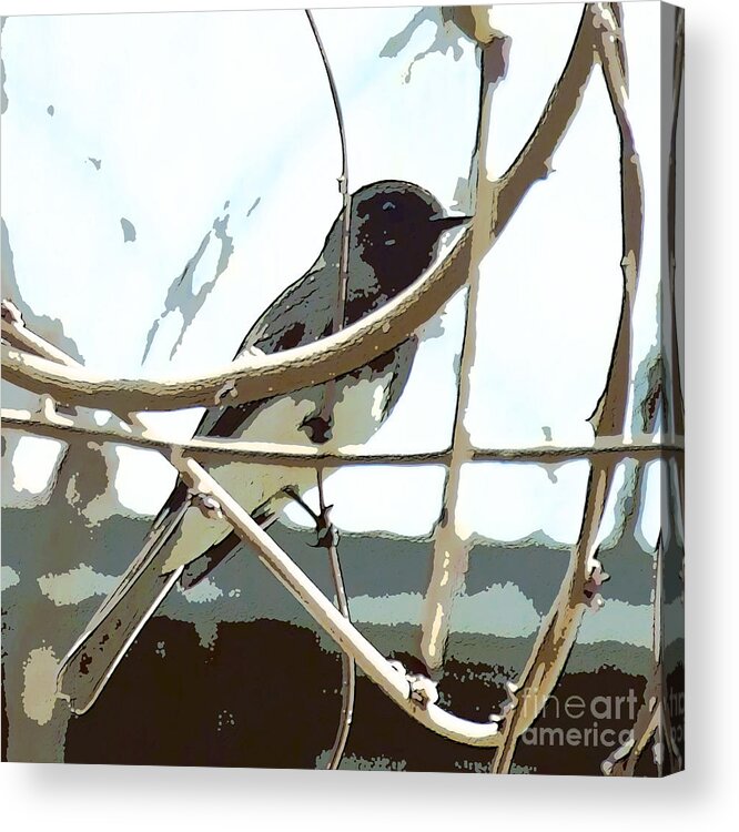 Bird On A Vine In The Winter Acrylic Print featuring the digital art Winter Bird #1 by Artist and Photographer Laura Wrede