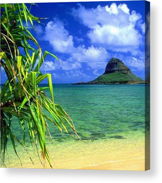 Mountains Acrylic Print featuring the photograph #palmtree #paradise #picoftheday #maui #17 by Andy Walters