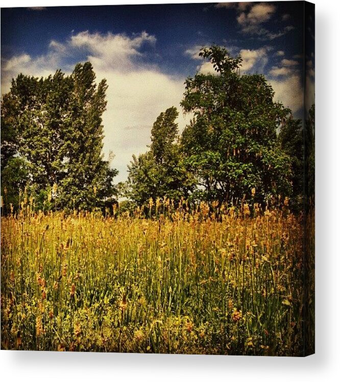 Beautiful Acrylic Print featuring the photograph #instamood #instagood #bestagram #174 by Taras Paholiuk