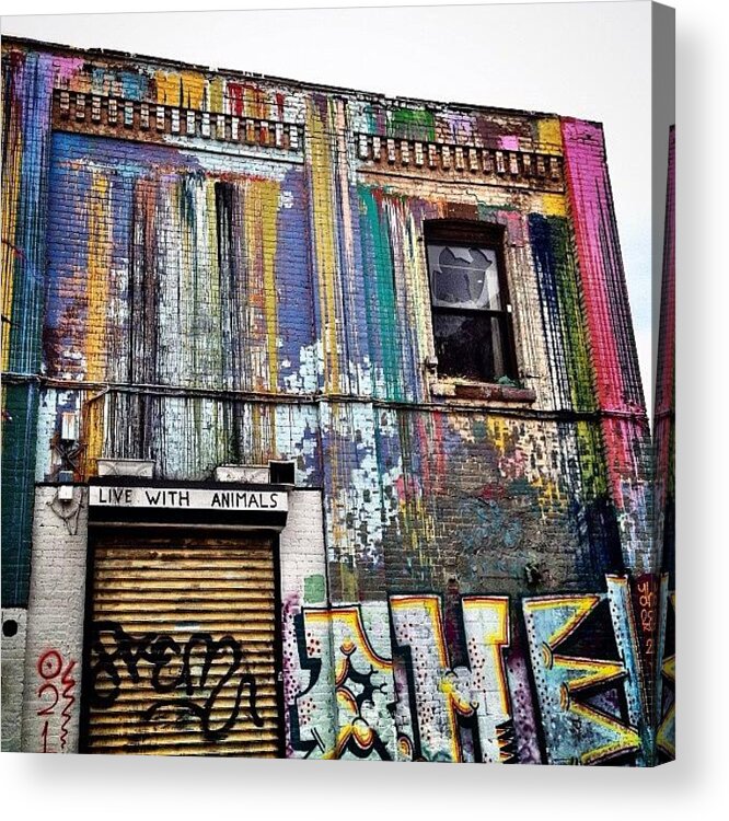 Streetart Acrylic Print featuring the photograph Williamsburg Graffiti #2 by Natasha Marco