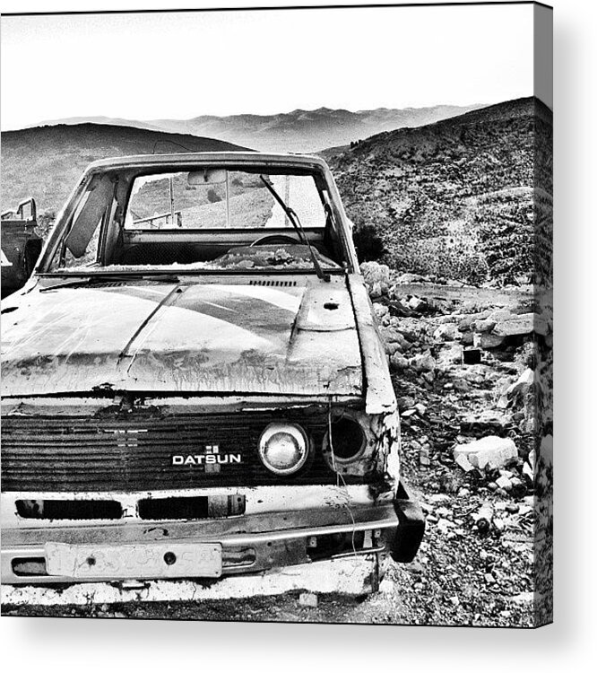 Datsun Acrylic Print featuring the photograph 2012 Kikla Datsun by Walied A