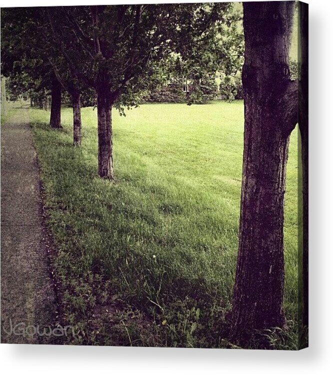 Treelove Acrylic Print featuring the photograph 2nd Edit. #treelove #treetrunk #tree by Jess Gowan