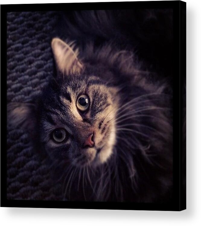  Acrylic Print featuring the photograph Instagram Photo #381340392148 by Dave Edens