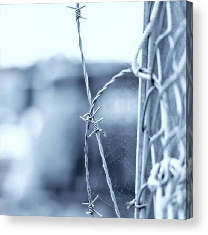 Barbwire Acrylic Print featuring the photograph #instagram #instagrammers #4 by Torbjorn Schei