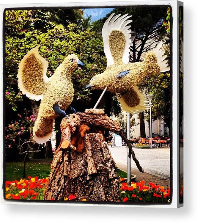 Merano Acrylic Print featuring the photograph Instagram Photo #4 by Luisa Azzolini