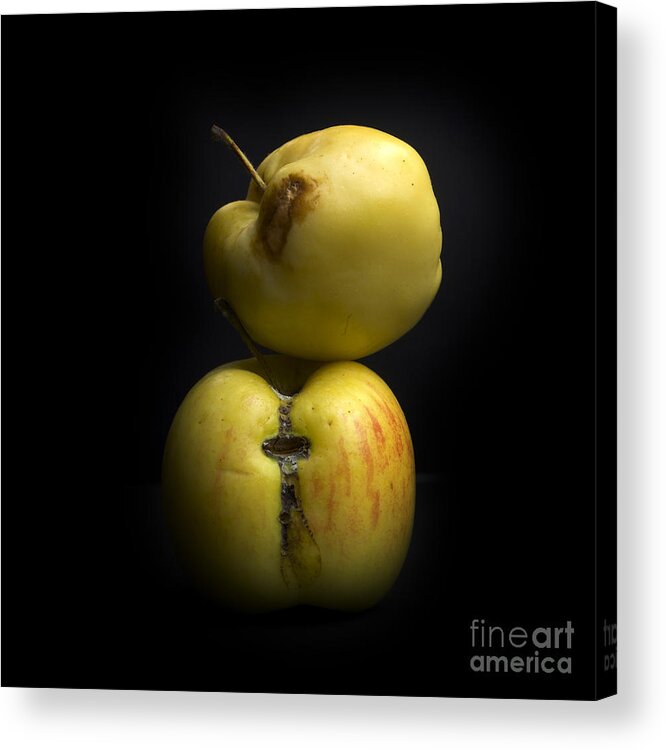 Agriculture Acrylic Print featuring the photograph Apples #6 by Bernard Jaubert