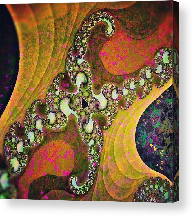 Beautiful Acrylic Print featuring the photograph A floral fractal by Linandara Linandara
