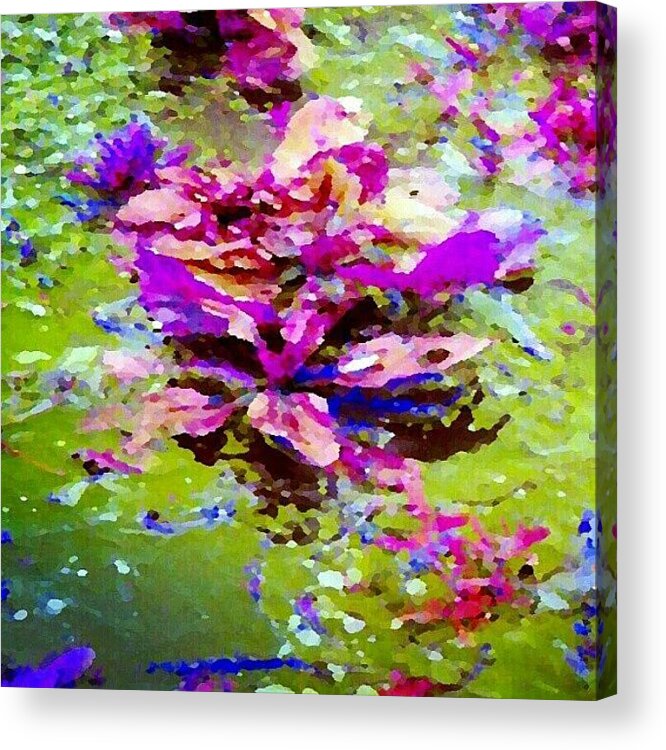 Abstract Acrylic Print featuring the photograph A Little Like Water Lilies - Weeds In A by Marianne Dow