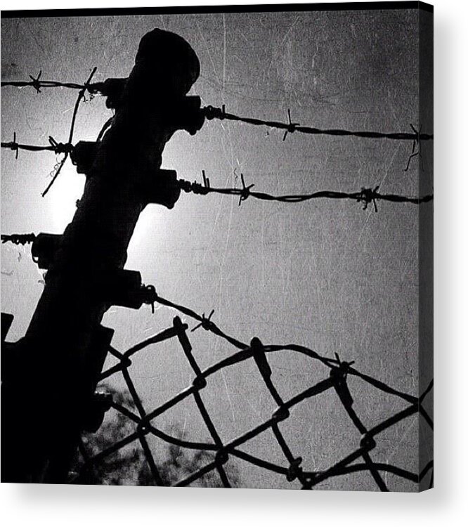 Barbedwire Acrylic Print featuring the photograph #barbedwire #fence #instagood by Craig Kempf