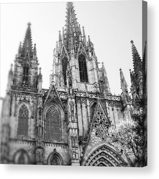 Spain Acrylic Print featuring the photograph Barcelona Cathedral by Louise Teolis
