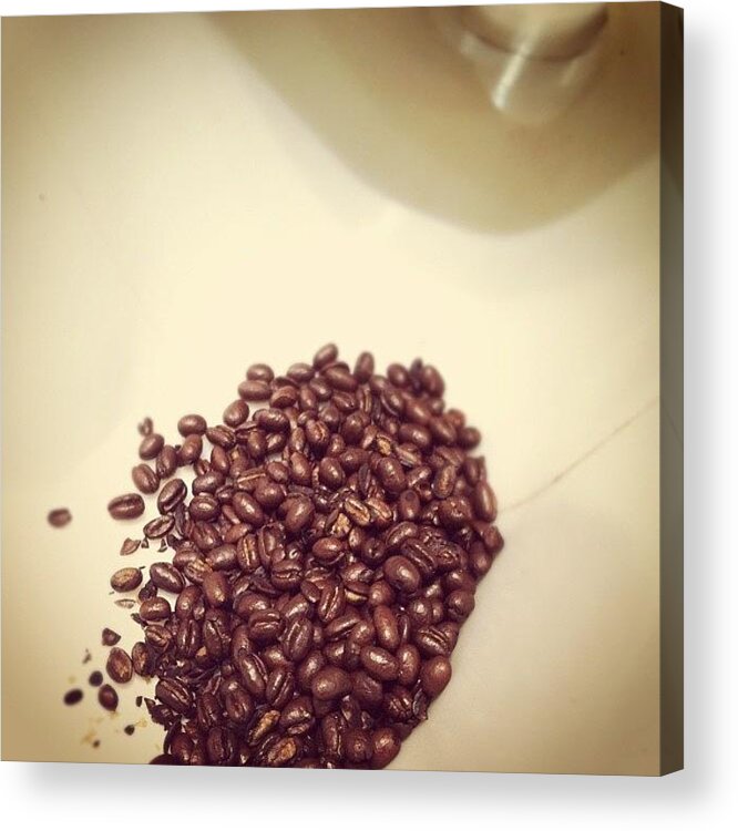 Coffee Acrylic Print featuring the photograph Bean Stock by Jason Ogle