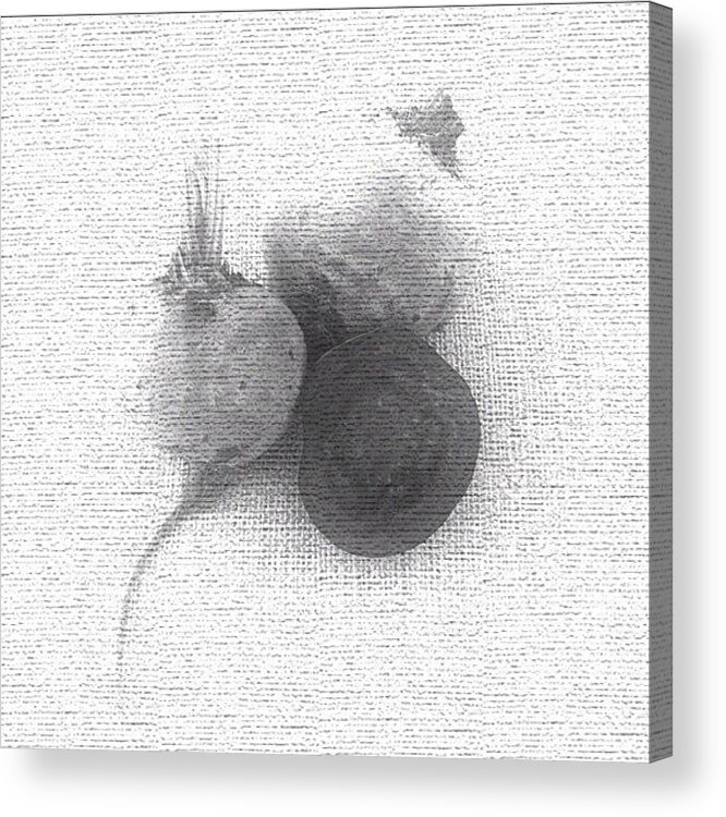 Beets Acrylic Print featuring the photograph Beets Still Life by Lynne Daley