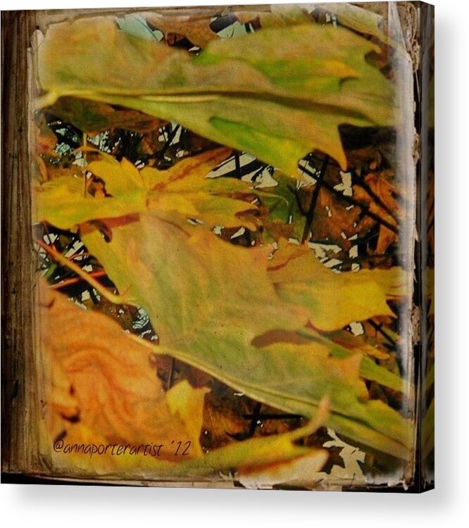 Fall Color Acrylic Print featuring the photograph Book Of Leaves by Anna Porter