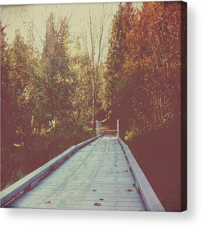 Bridge Acrylic Print featuring the photograph #bridge #nature #autumn #autumntrees by Karen Clarke