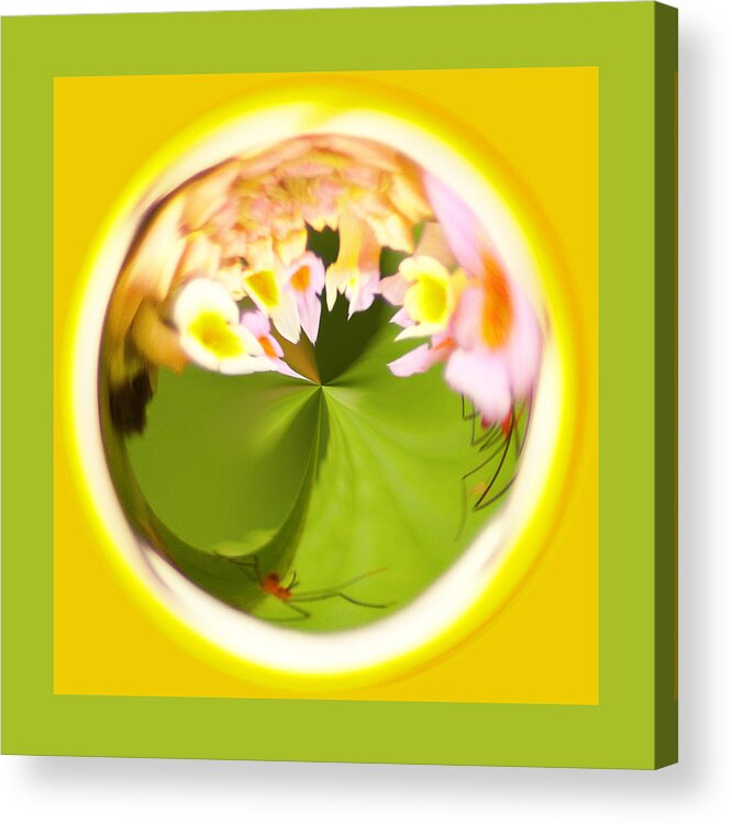 Orb Acrylic Print featuring the photograph Buggy Flower Orb by Bill Barber