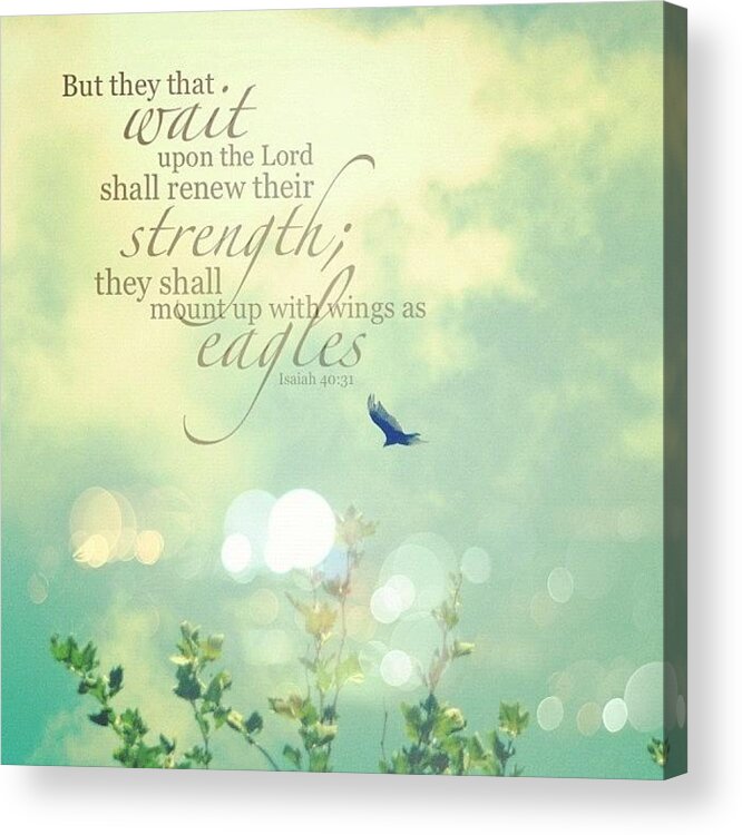 Godisgood Acrylic Print featuring the photograph but They That Wait Upon The Lord by Traci Beeson