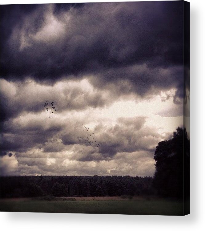 Beautiful Acrylic Print featuring the photograph Clouds by Antony Crafford