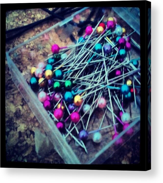 Instaprints Acrylic Print featuring the photograph Colourful Pins by Vicki Field