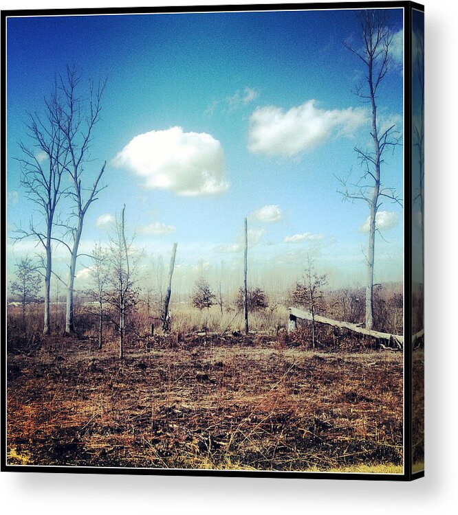Trees Acrylic Print featuring the photograph Deserted by Lora Mercado