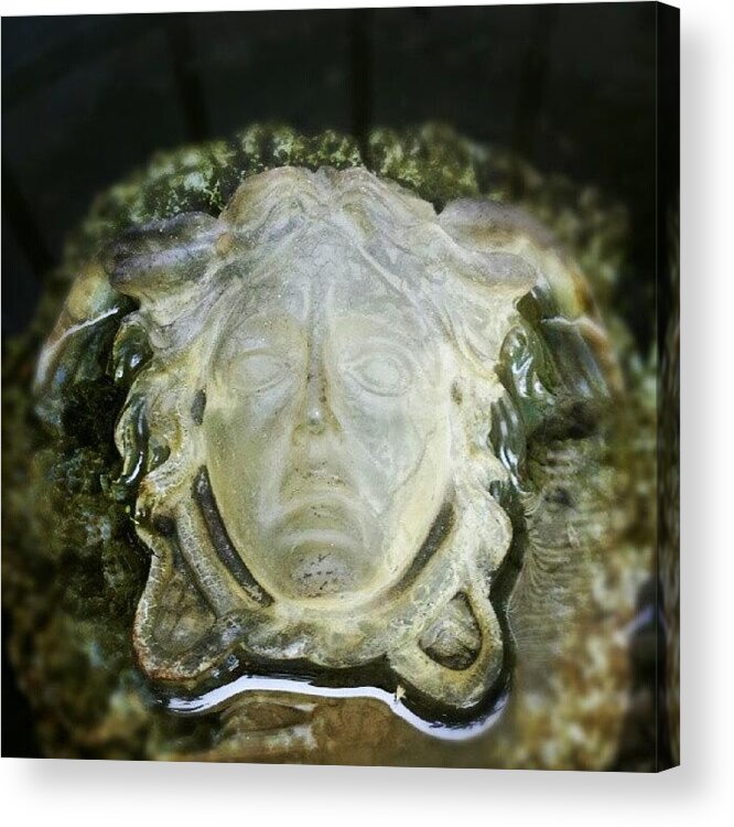  Acrylic Print featuring the photograph Designer Medusa by Stan Homato