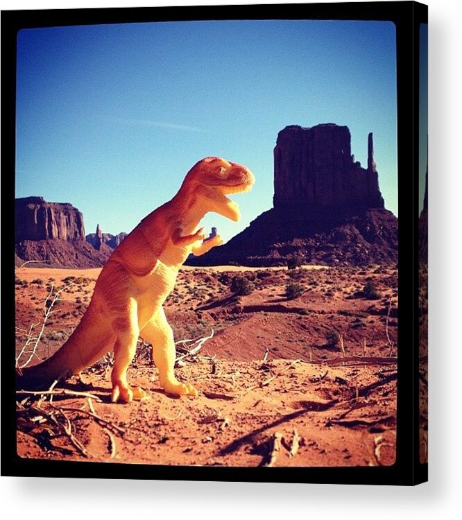  Acrylic Print featuring the photograph Dinosaure at Monument Valley by Isabel Poulin