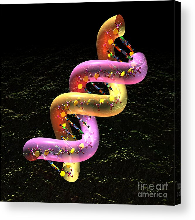 Acid Acrylic Print featuring the digital art DNA fat coil by Russell Kightley