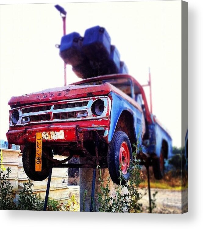 Old Acrylic Print featuring the photograph #dodge #wreck #junkyard #colorful #auto by Alon Ben Levy