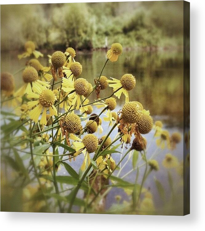 Photooftheday Acrylic Print featuring the photograph Down By The Riverside by Karyn Teno