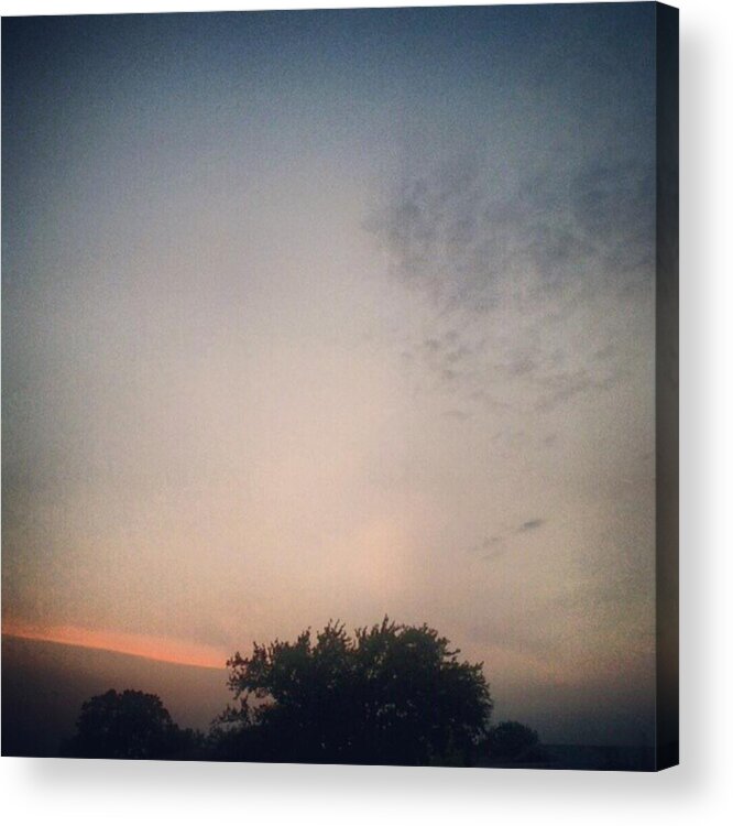 Andrography Acrylic Print featuring the photograph Dusk... #andrography #nexuss #random by Kel Hill