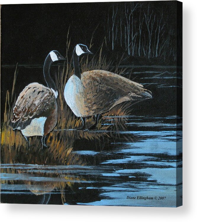 Geese Acrylic Print featuring the painting Family Way by Diane Ellingham