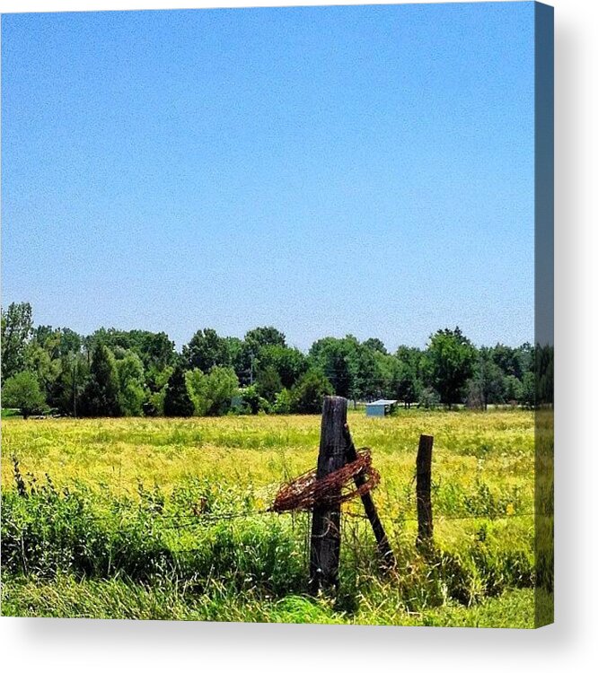 Fencepost Acrylic Print featuring the photograph #fence #fencepost #barbedwire #wire by Caleb Kennedy