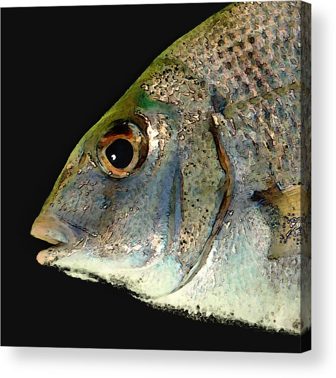 Fish Acrylic Print featuring the photograph Fisheye by Karen Lynch