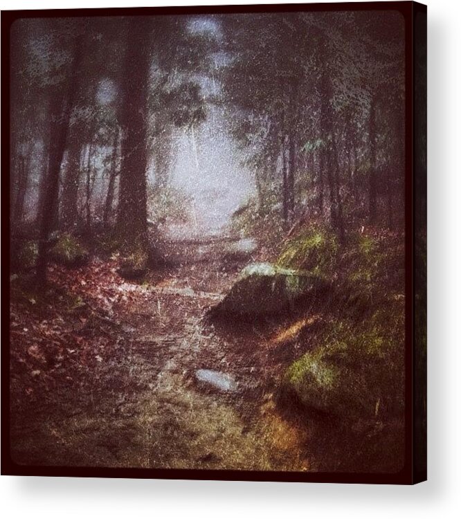 Snapseed Acrylic Print featuring the photograph Foggy Trail by Dave Edens