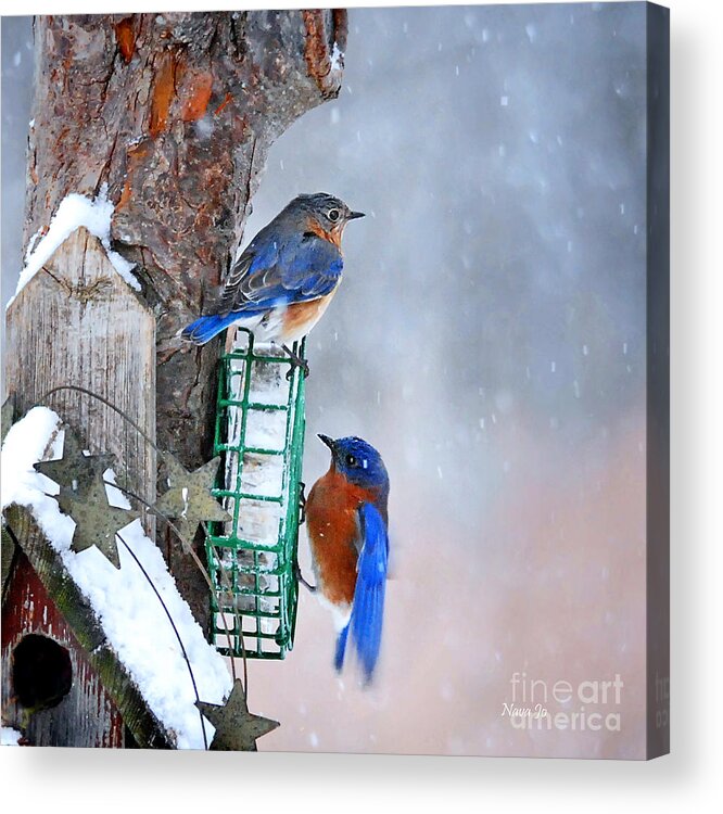 Nature Acrylic Print featuring the photograph Frozen Blue Plate Special by Nava Thompson