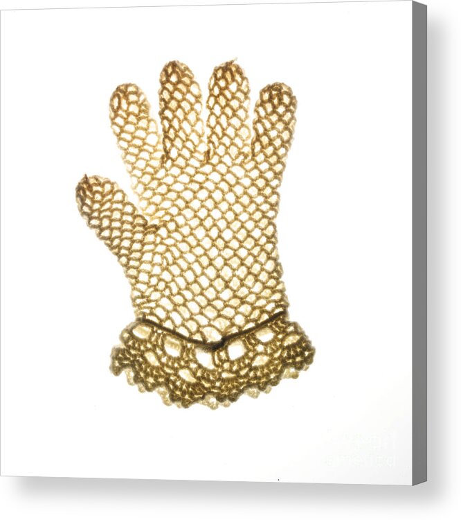 Studio Shot Acrylic Print featuring the photograph Glove by Bernard Jaubert