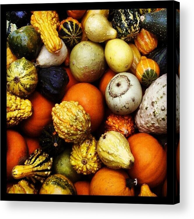 Fall Acrylic Print featuring the photograph Gourds by Travel Designed
