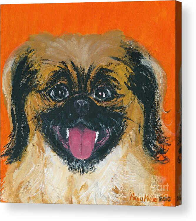 Happy Peke Acrylic Print featuring the painting Happy Face by Ania M Milo