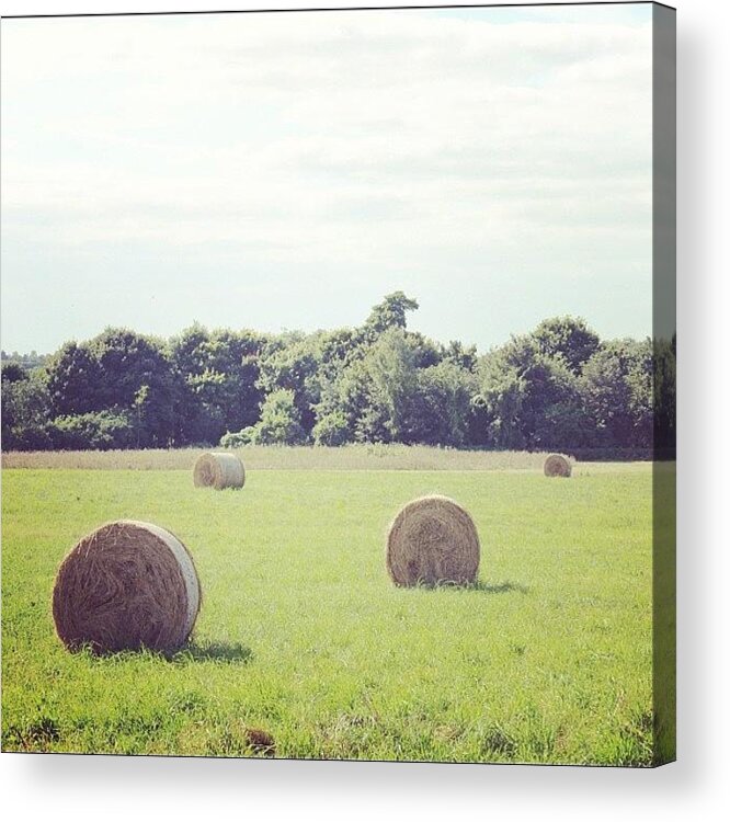  Acrylic Print featuring the photograph Hay Bales by Unique Louise