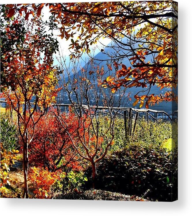 Beautiful Acrylic Print featuring the photograph I Colori Dell'autunno - The Colors Of by Luisa Azzolini