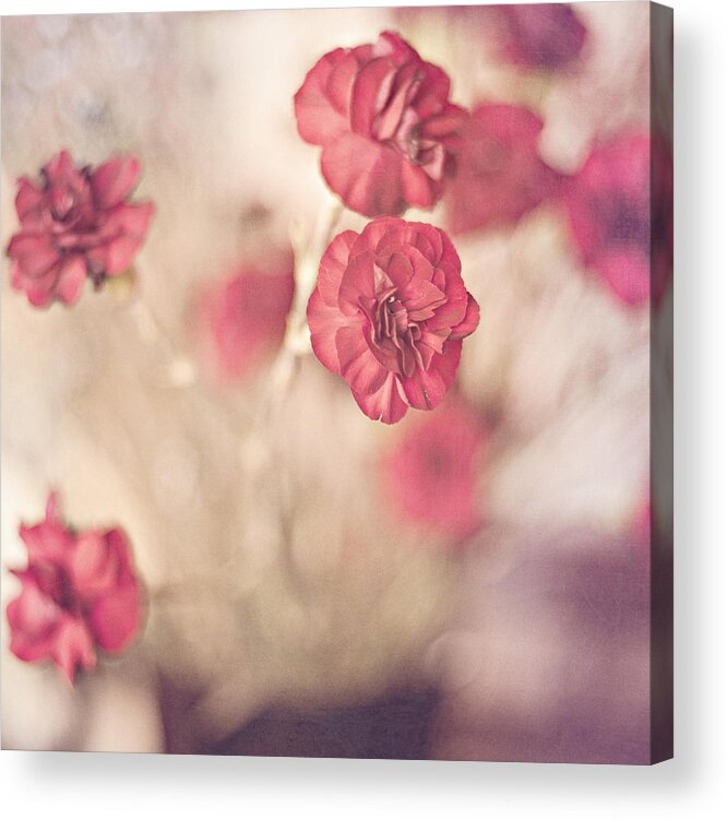 Floral Acrylic Print featuring the photograph I Still Believe by Joel Olives