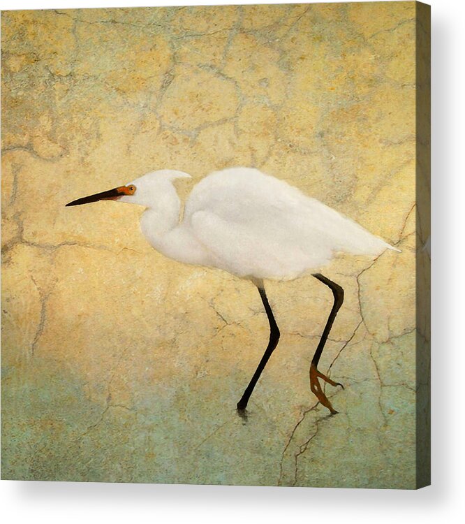 Egret Acrylic Print featuring the photograph Incidental Dance 2 by Karen Lynch
