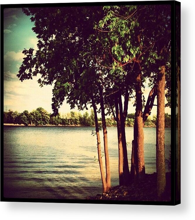 Summer Acrylic Print featuring the photograph #instagrammers #igersmontreal by Isabel Poulin