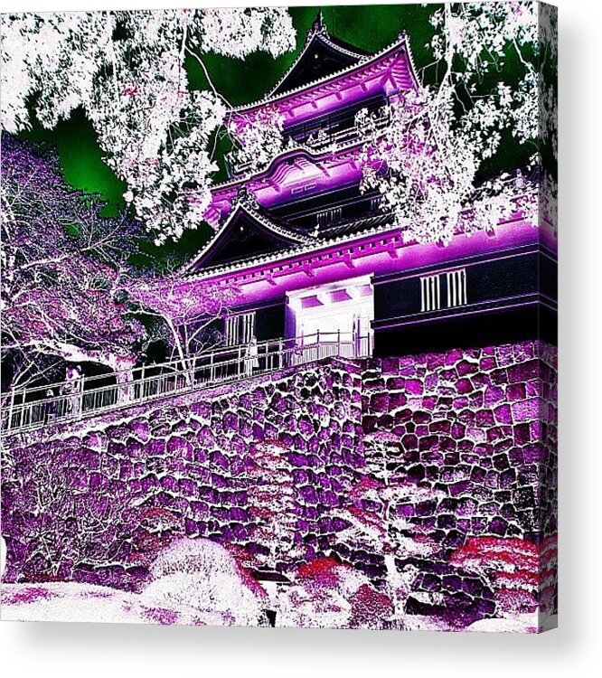 Beautiful Acrylic Print featuring the photograph Inverting The Colors Of Odawara by Julianna Rivera-Perruccio